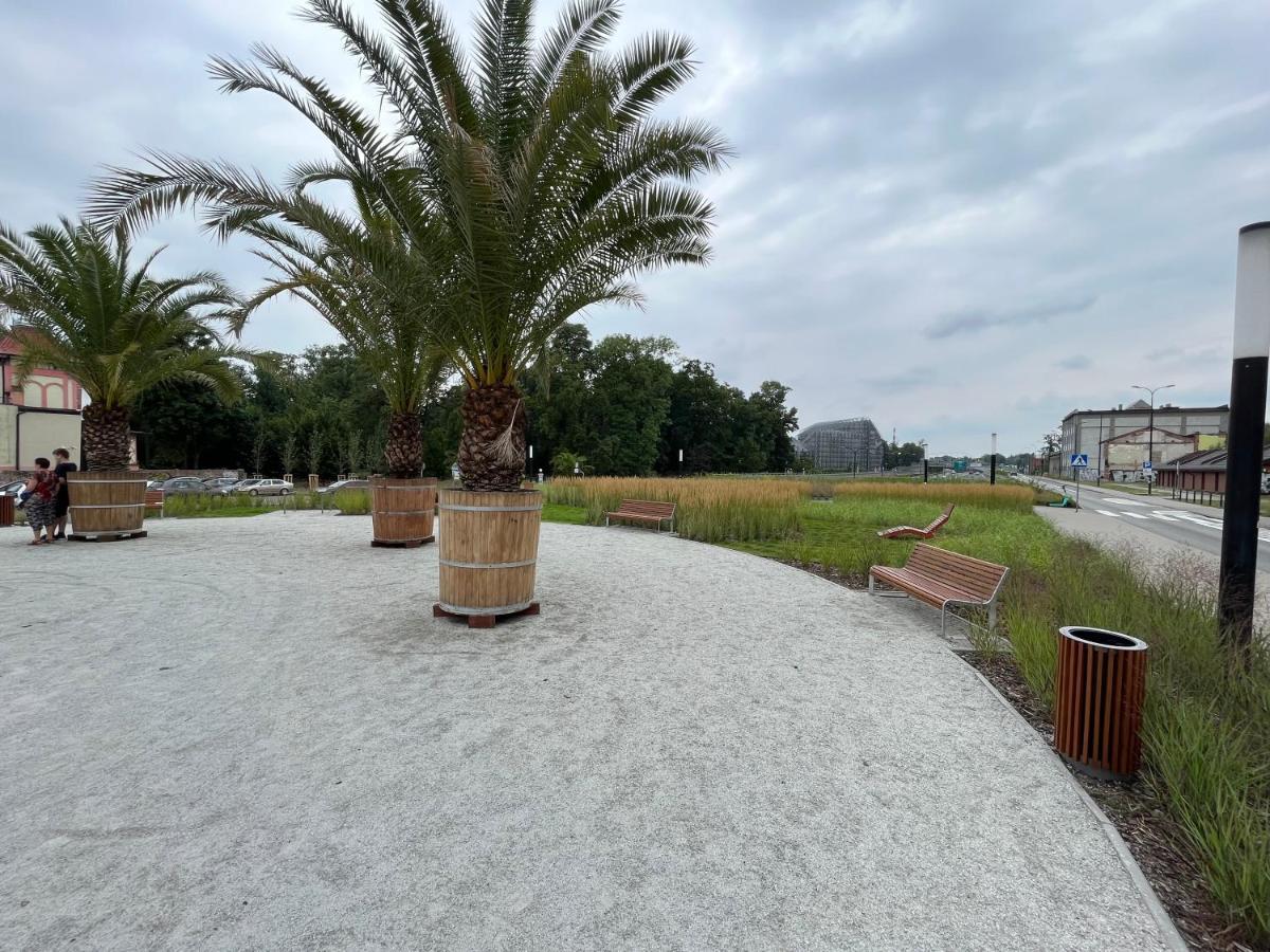 Apartament Centrum-Zwyciestwa グリヴィツェ エクステリア 写真